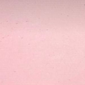 Meet your Posher, Fatima